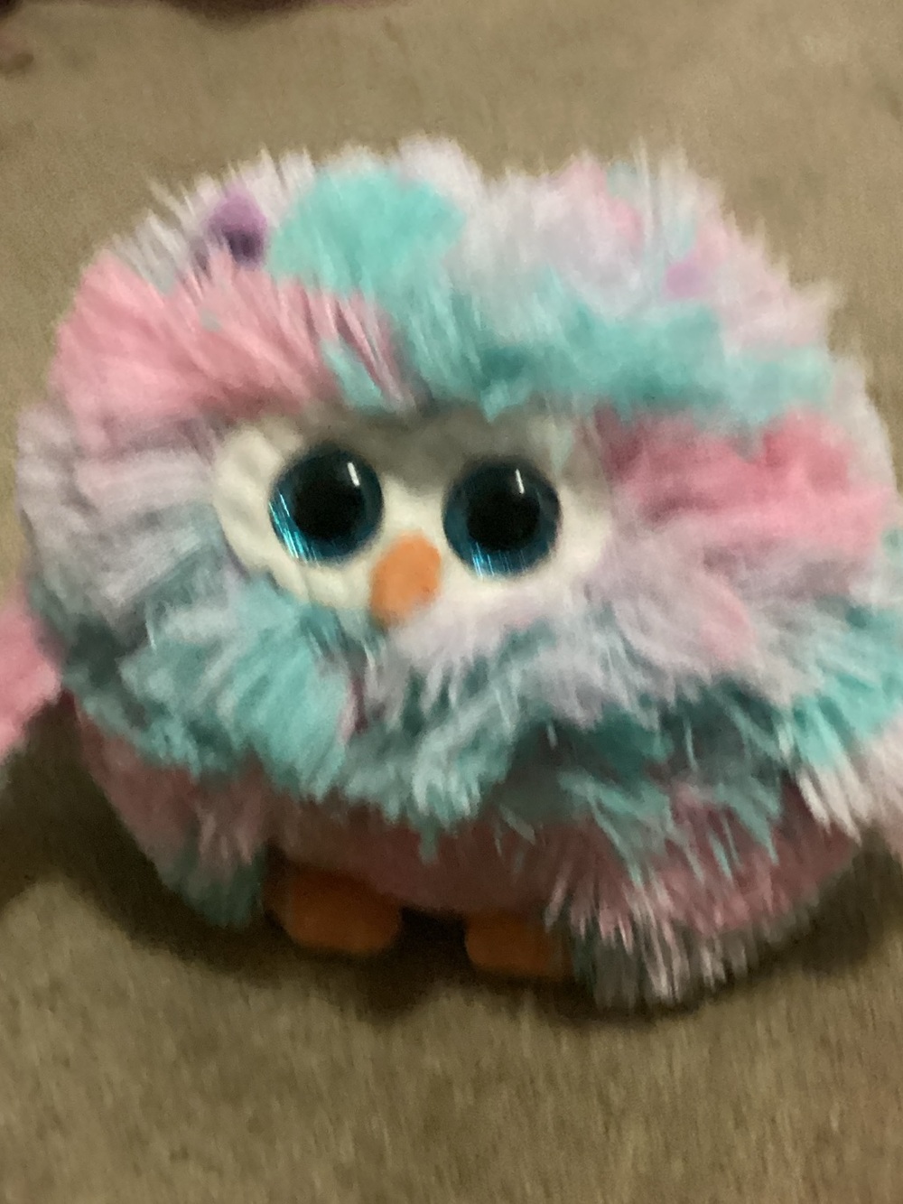 Plush Small Pet Toy - Multicolor Fluffy Owl